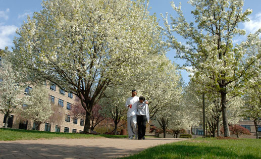 Colleges In Worcester Ma >> Assumption College - Worcester, MA - VA Education Benefits Colleges In Worcester Ma >> Assumption College - Worcester, MA - VA Education Benefits