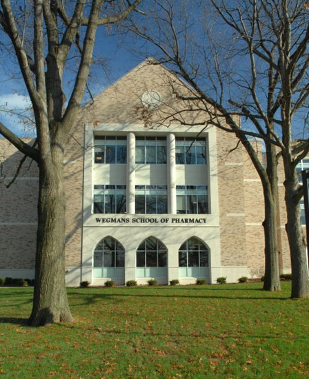 footprint fighting st john fisher college essay footprint fighting st john fisher college essay